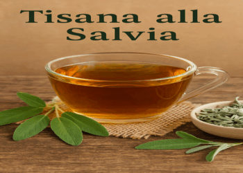 tisana alla salvia