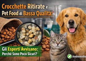 crocchette discount ritirate dal mercato