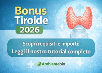 bonus tiroide2026