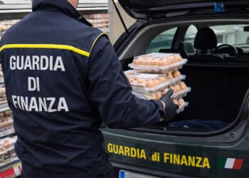 Richiamo uova per sospetta Salmonella: lotti e cosa fare (avviso Ministero della Salute)