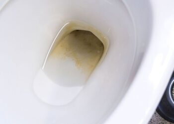 come rimuovere il water nel calcare