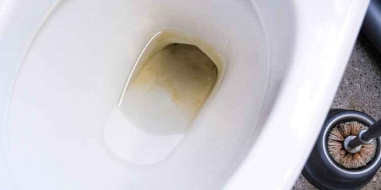 come rimuovere il water nel calcare