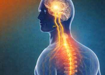 Ansia e cervicale: perché lo stress ti irrigidisce collo e spalle (e come spezzare il circolo vizioso)