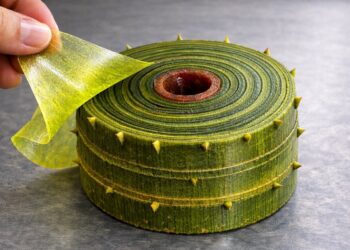 Plastica dal bambù: il nuovo biopolimero che può sostituire quella derivata dal petrolio